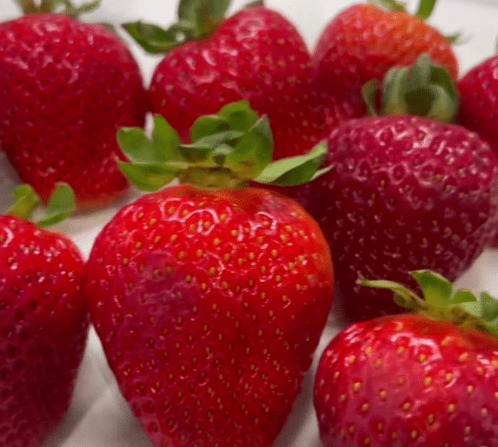 Ingredients for Strawberry Cheesecake Deviled Eggs