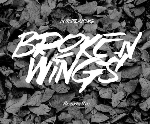 Best Free Fonts To Download for Crafts and DIY Projects -Broken Wings - Cute, Cool and Professional Looking Font Ideas for Teachers, Crafters and Wedding Decor - Calligraphy, Scrip