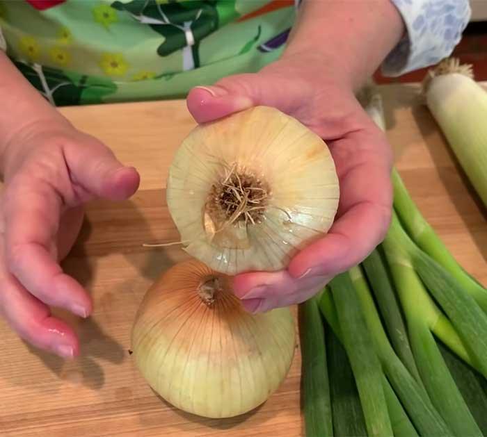 Re-Grow Yellow Onions - Kitchen Scraps Garden