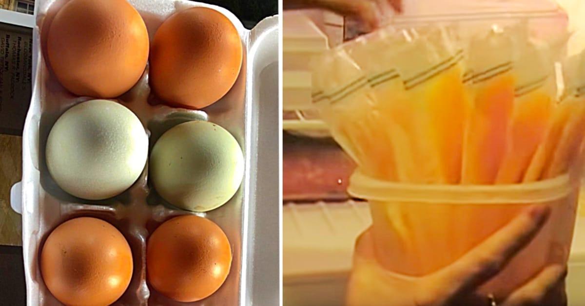 How To Freeze Eggs