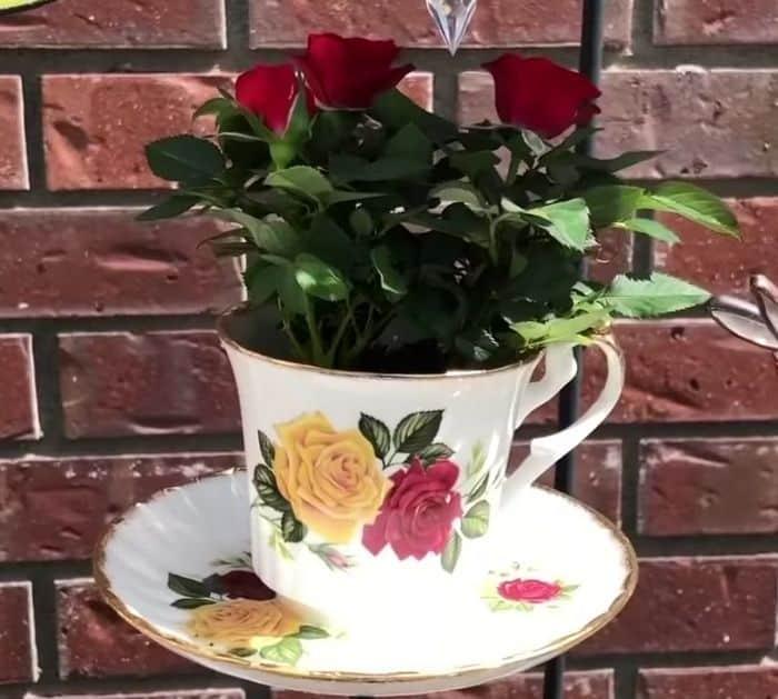 Dollar store planter ideas