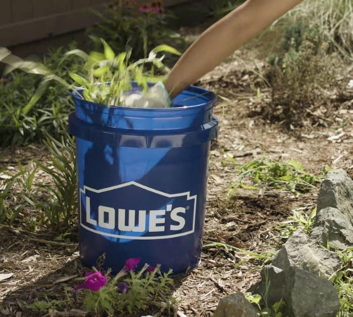 Easy Fall Gardening Tips And Hacks