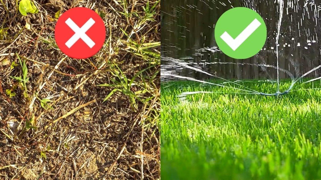 9 Secrets to Keep Your Lawn Green and Healthy