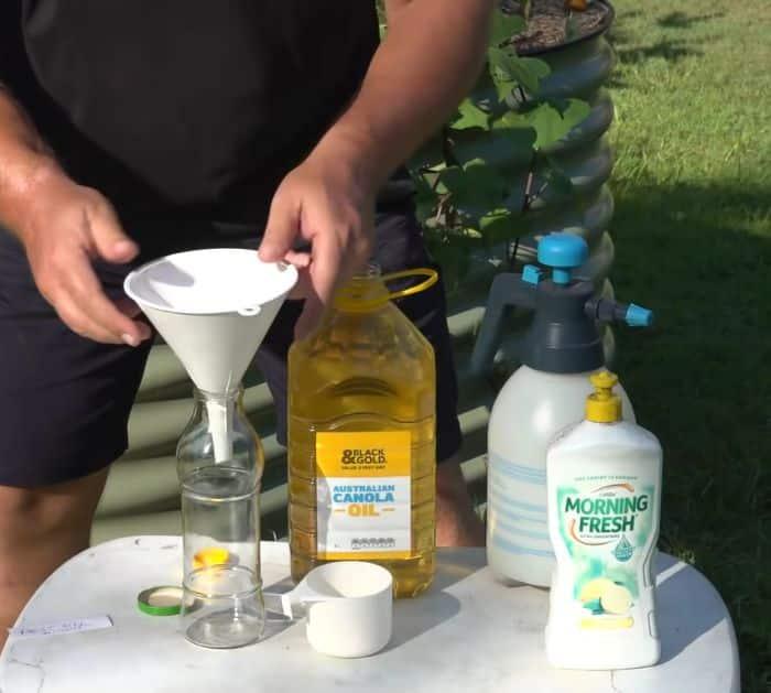 10 Organic Ways to Control Pests in the Garden Spray