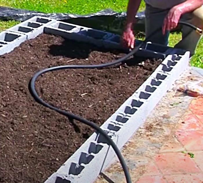 Use A Soaker Hose As An Irrigation System In A Cinder Block Raised Garden Bed