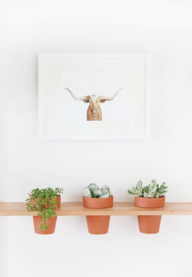 DIY Hanging Planter Shelf, a beginner friendly build with no special tools required and a piece worth keeping out on display