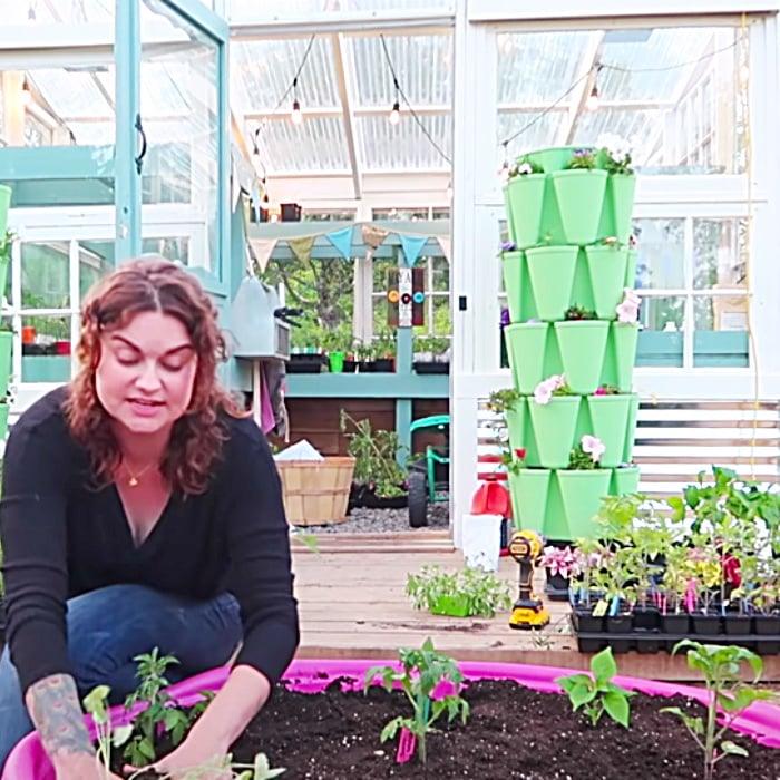Gardening For Apartment Dwellers - Easy Ways To Grow Food In An Urban Area - How To Grow Food