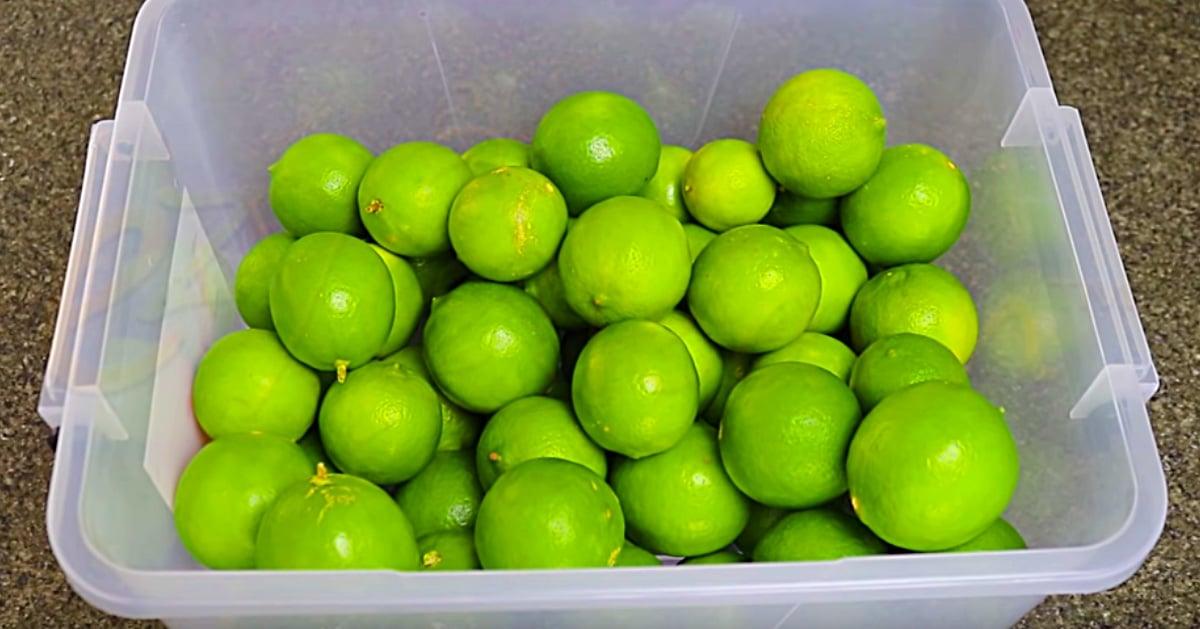 How To Keep Limes Fresh Longer