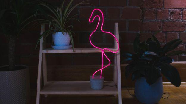 DIY Neon Sign, a fast weekend build even for a novice and charm that photographs better than it costs