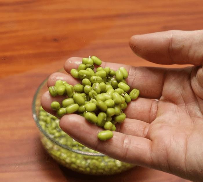 How to Grow Bean Sprouts in Plastic Cups Steps