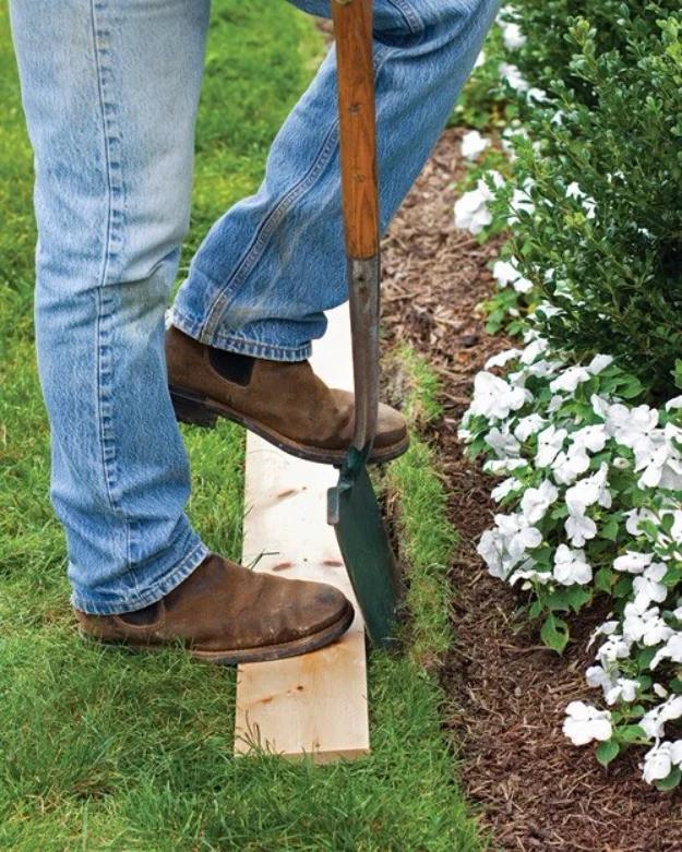 Easy way to edge a lawn, a boot pressing a spade down beside a plank of wood laid along a mulched bed of white flowers