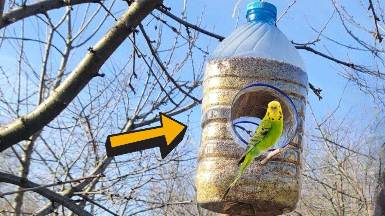 Bird feeder made from two plastic bottles hanging from twine with a seed tray, filled with birdseed in a winter garden
