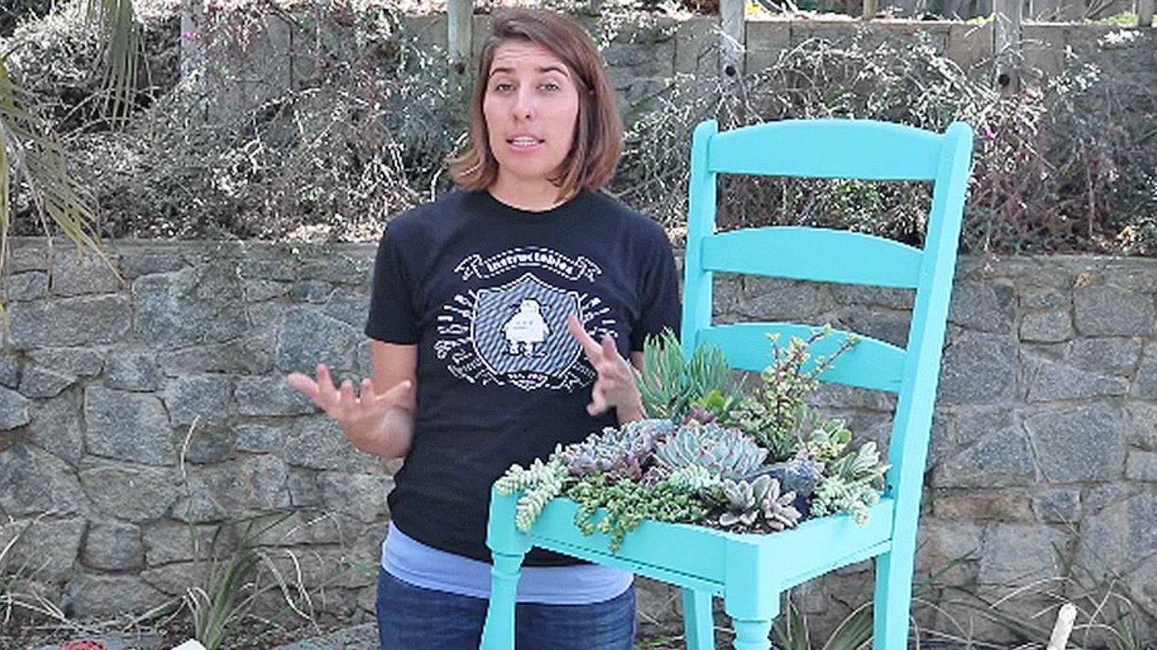 How To Plant Your Succulents In A Chair