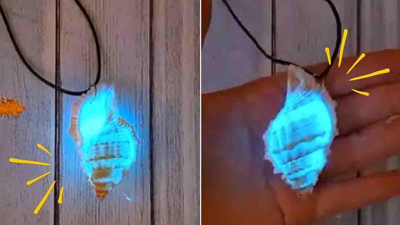DIY Glow-In-The-Dark Seashell Tutorial