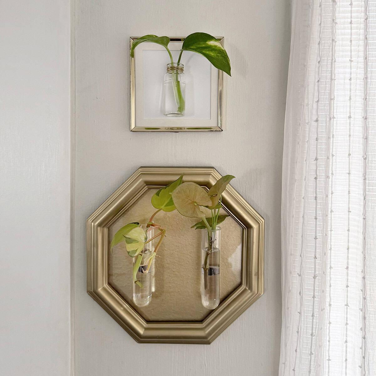 Gold painted octagonal picture frame on a white wall holding a small glass tube of water with a plant cutting rooting in it