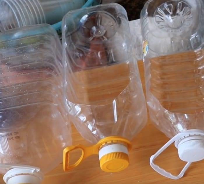 Learn to grow plants in recycled plastic bottles