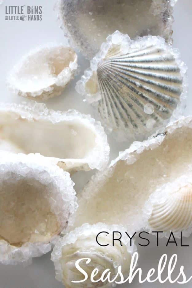 Crystal seashells, white scallop and clam shells furred all over with growing white borax crystal spikes