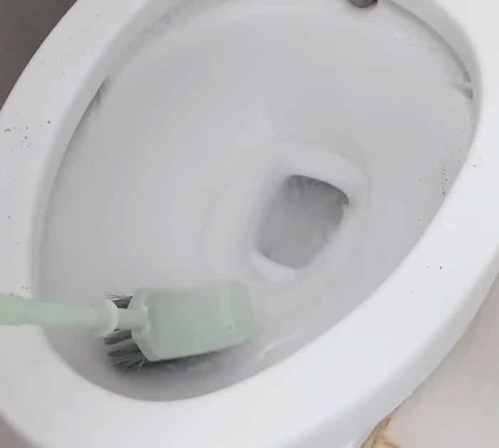 Easy Toilet Cleaning Hack Tutorial