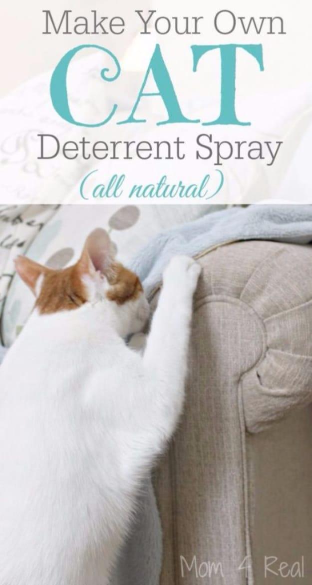 Make Your Own Cat Deterrent Spray, a simple fix that actually works and worth trying around the house
