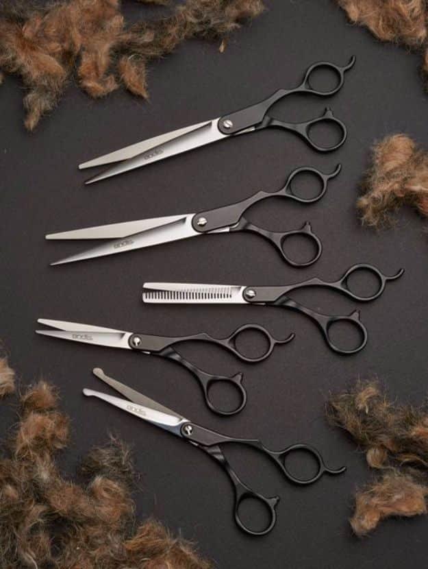 DIY Dog Grooming Tutorials - Grooming Tools - Cool and Easy Ways to Wash, Groom and Style Your Pets Fur - Trim Toenails, Brush Teeth, Bath, Trim and Clip Dogs Fur - Hair - Remove F