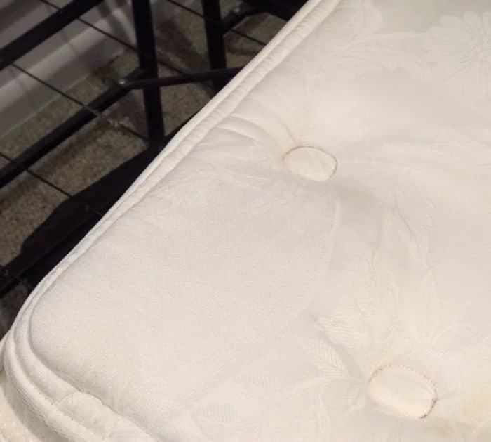 Easy Way to Clean Pee and Sweat Stain