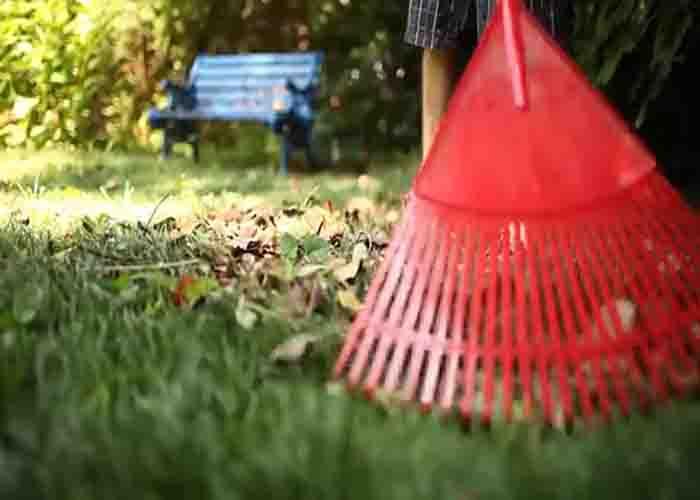 Raking the lawn for the Fall season