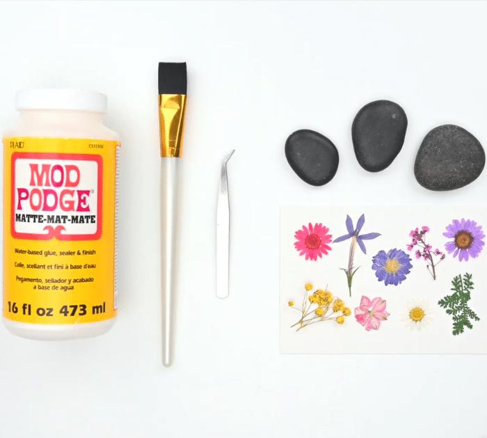 Materials for DIY Pressed Flower Rocks