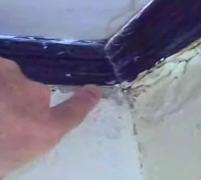 Easy Ant Nest Repellent Tips and Hacks