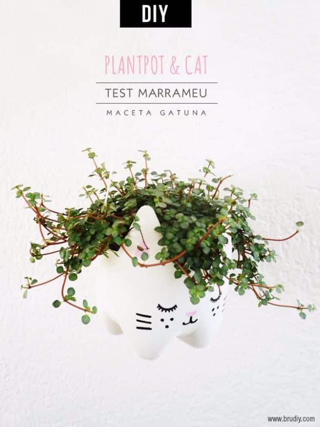 DIY cat planter, a white plastic bottle cut into a sleeping cat face and planted with trailing green foliage on a wall
