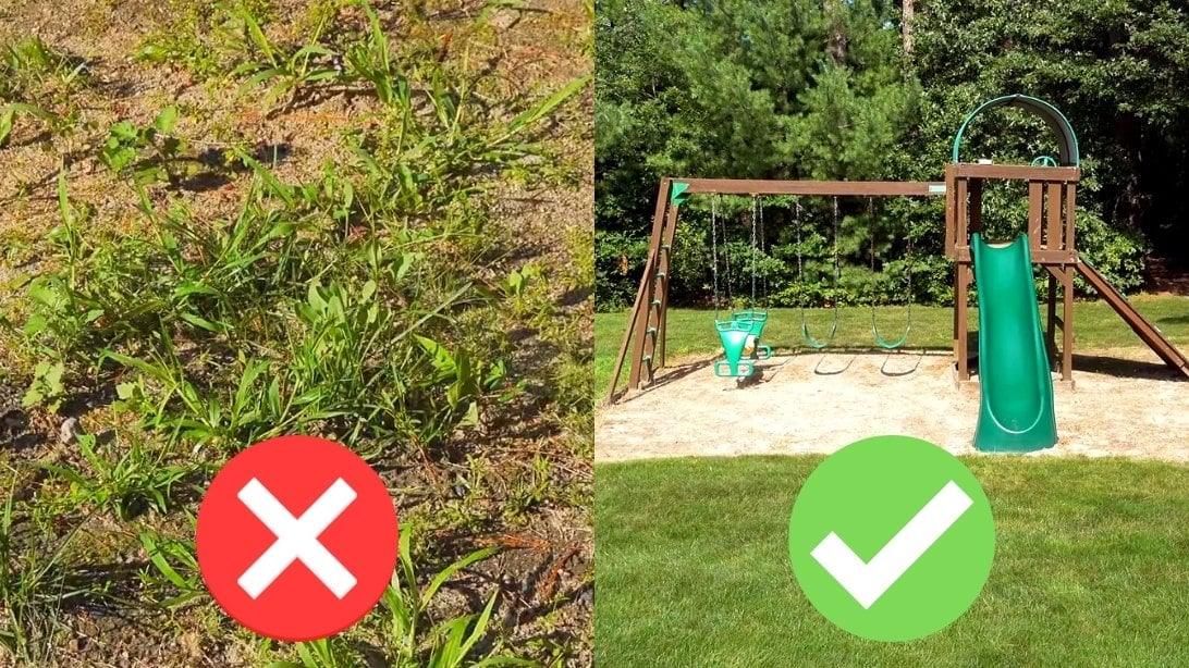 How to Make Homemade Organic Weed Control