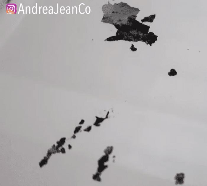 Easy Rusty Fridge Cleaning Hack