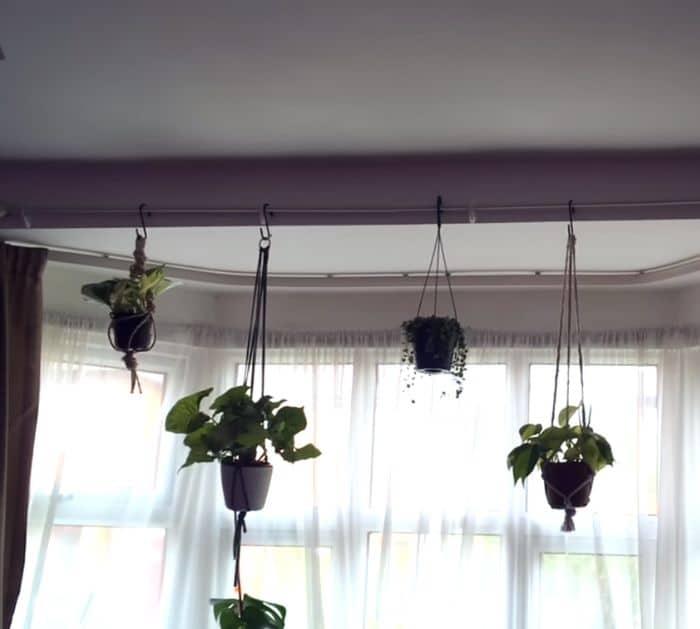 10 Hanging Plant DIY Hack for Renters Tricks