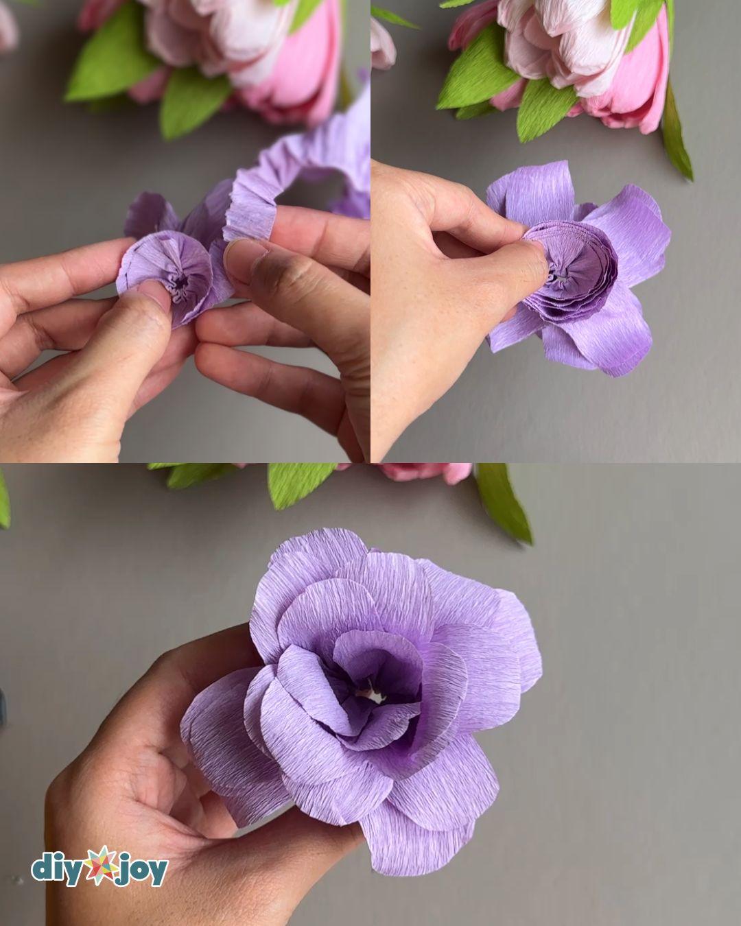 Paper Roses — rolling