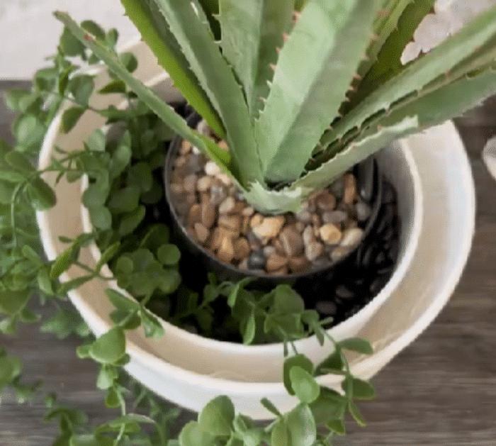 How to Make Viral TikTok Lit Planter