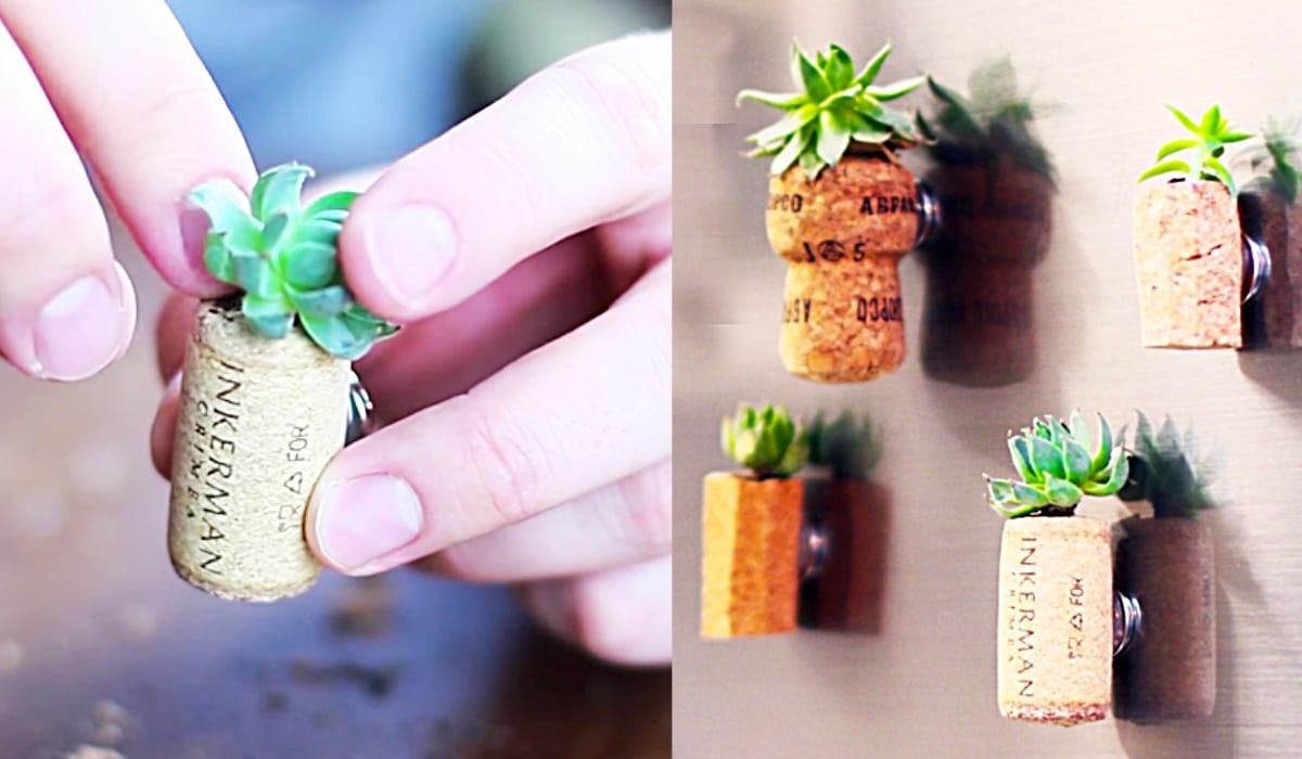DIY Wine Cork Succulent Fridge Magnets