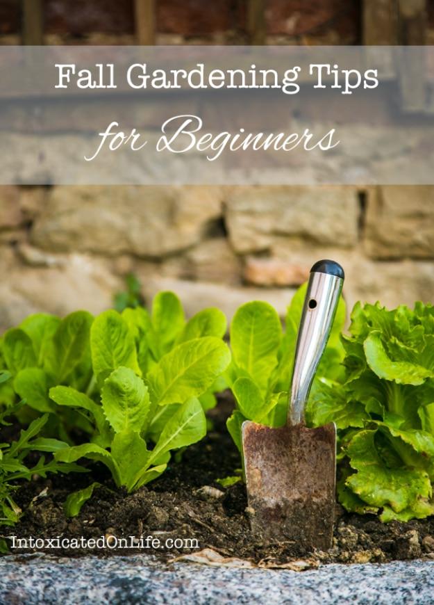 Graphic titled Fall Gardening Tips for Beginners over a row of leafy greens with a trowel pushed into the soil