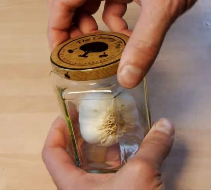 How to Peel a Garlic Quickly and Easily
