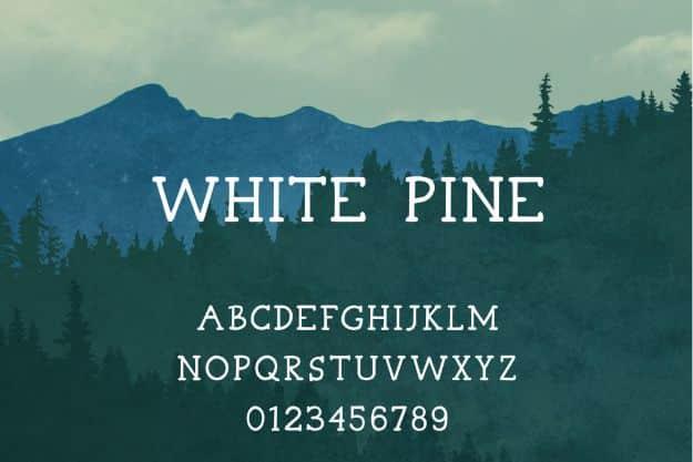 Best Free Fonts To Download for Crafts and DIY Projects - White Pine - Cute, Cool and Professional Looking Font Ideas for Teachers, Crafters and Wedding Decor - Calligraphy, Script