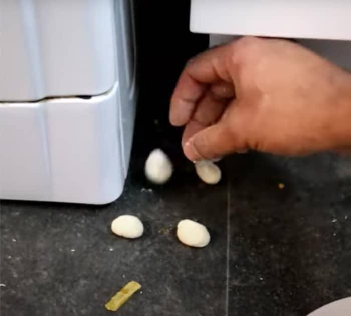 simple hack to kill a cockroach