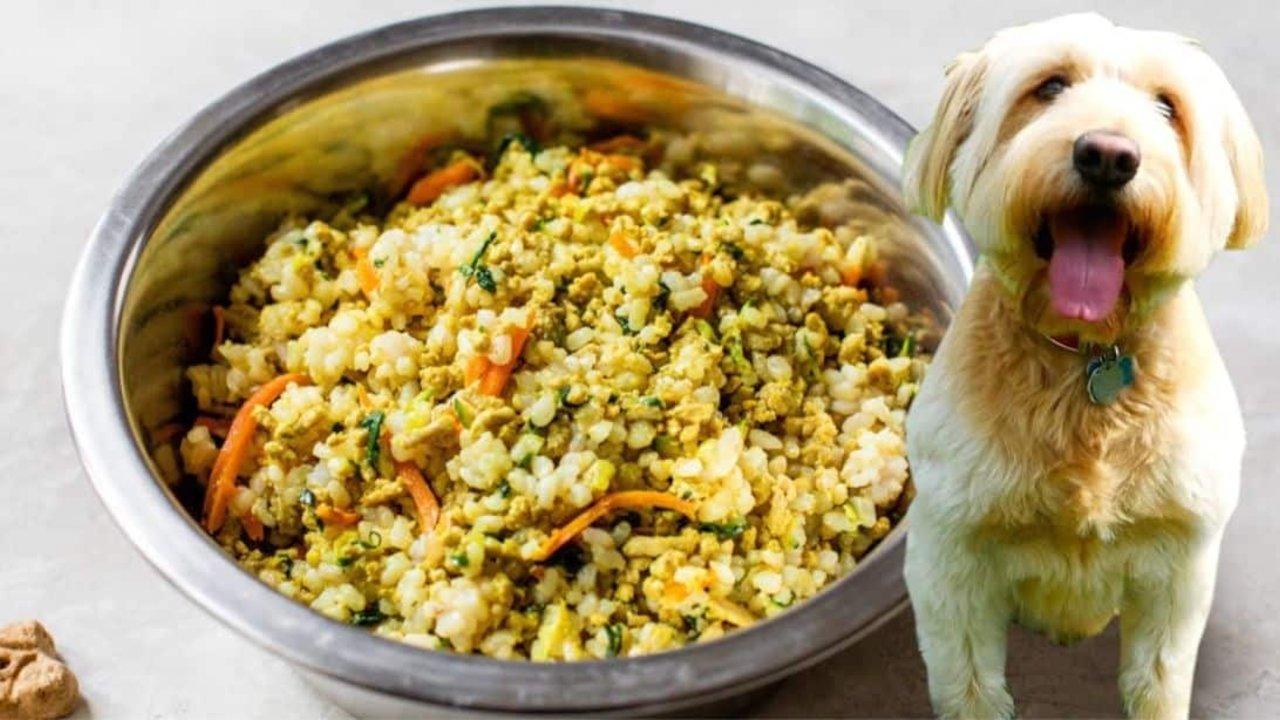 Healthy Homemade Dog Food