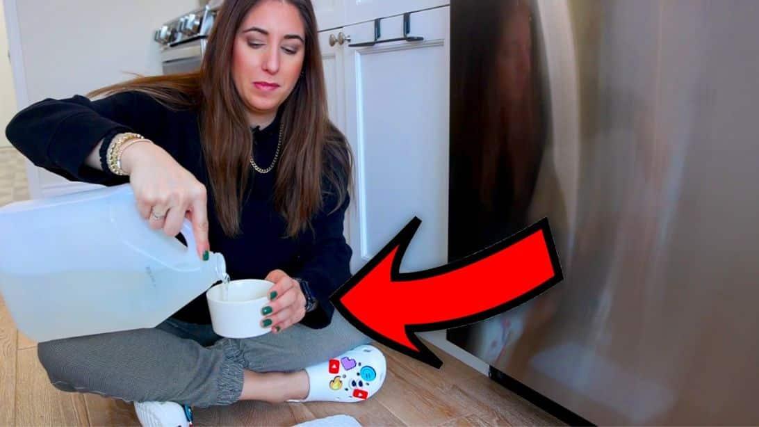 A Professional Guide to Cleaning Stainless Steel