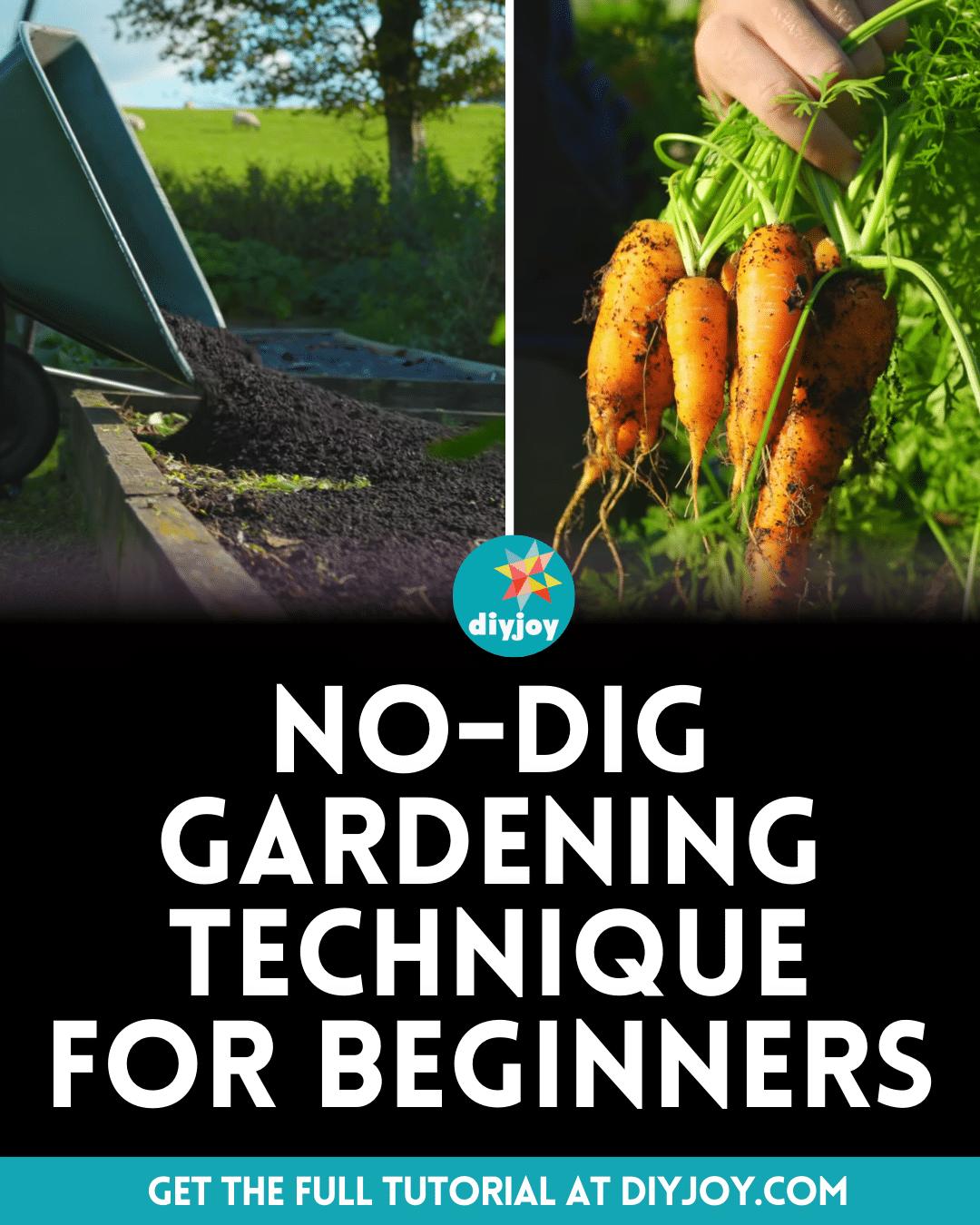 No-Dig Gardening Technique For Beginners