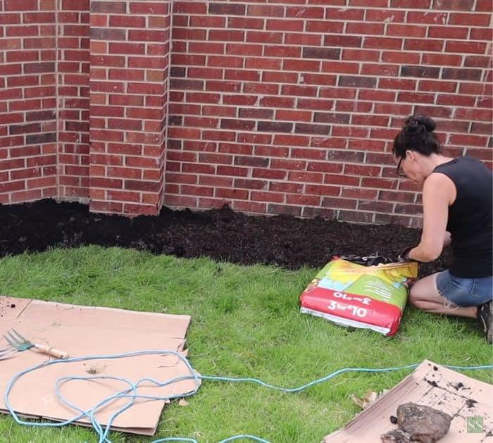 Easy Gardening Tips and Hacks for Beginners