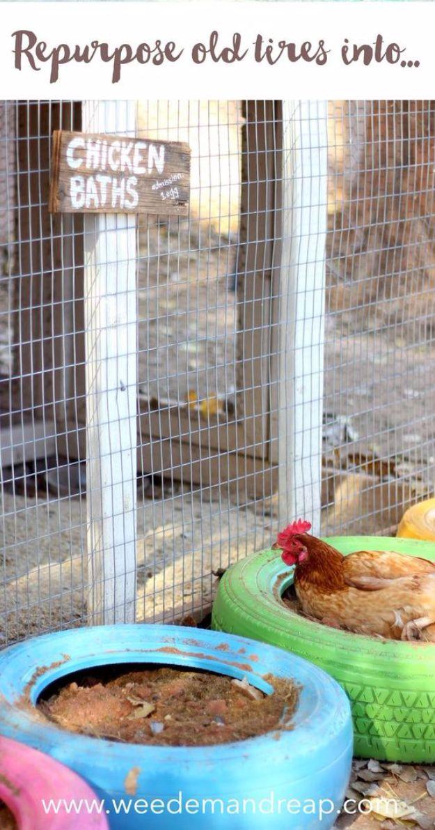Two old tires painted turquoise and green filled with dirt as chicken dust baths with a hen sitting in one