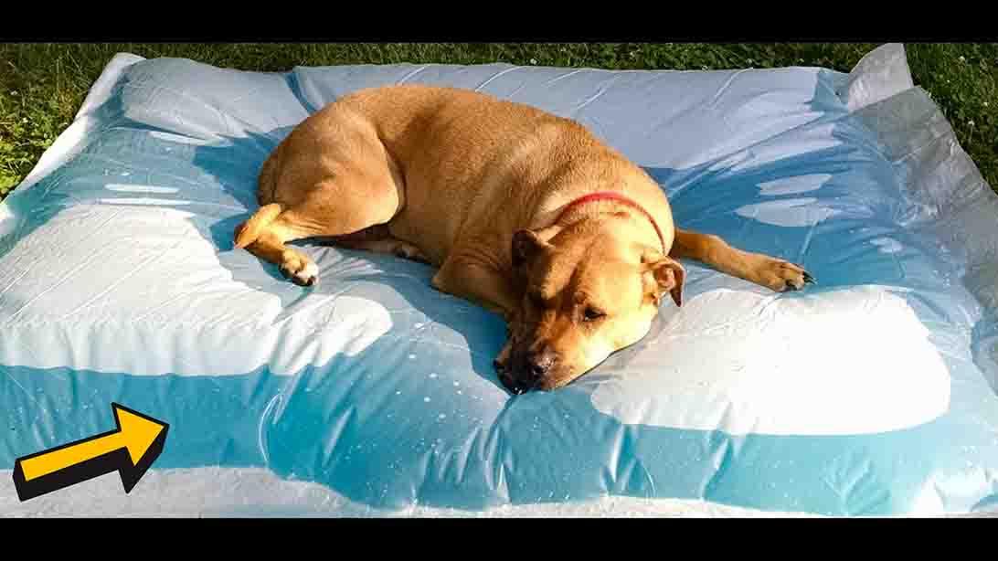 DIY Giant Water Blob Tutorial