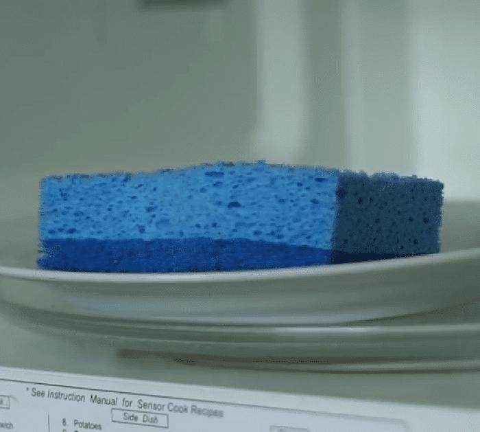 Materials for Sponge Sanitizing Hack