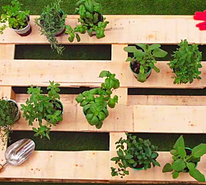 Learn to make a really cute easy pallet herb garden in a few steps