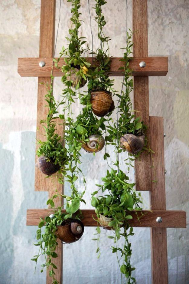 Hanging seashell garden, trailing green plants set in shells and suspended on string down a wooden trellis