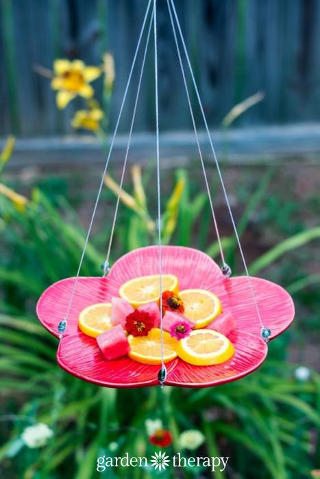 Five-Minute Butterfly Feeder, a backyard project idea, and a great fix using stuff you already have on a shelf