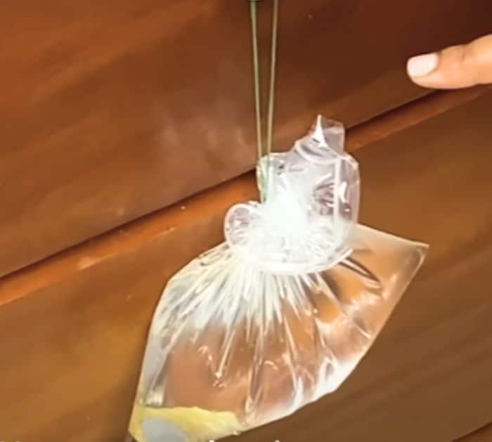 Genius Trick To Keep Flies Away From Your Home Trick
